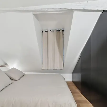 Duplex Quartier Du Louvre 巴黎