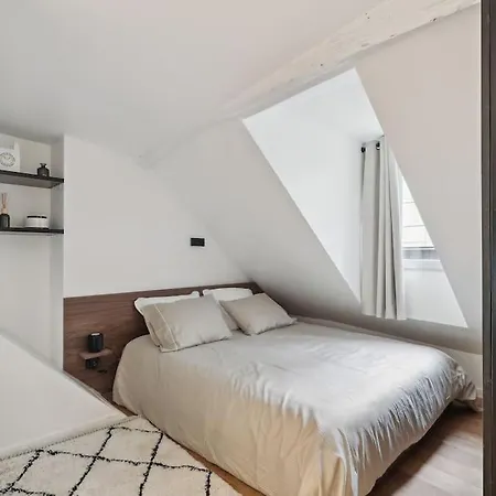 Duplex Quartier Du Louvre 巴黎