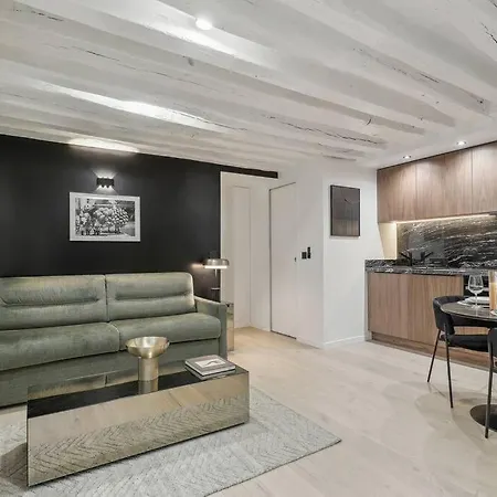 Duplex Quartier Du Louvre * 巴黎